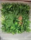 Grass Breeze Decorative Artificial Grass For Wall Panels, Grass Plant 50*50CM